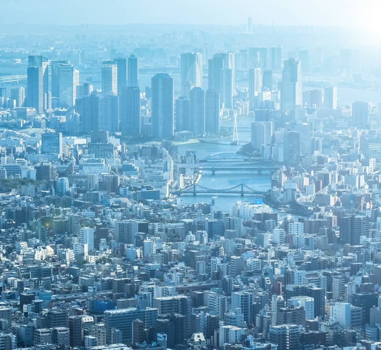 企業概要 Company Profile